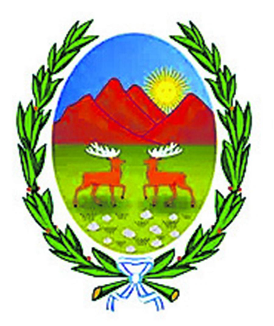 ¿Para qué sirven y qué representan los escudos?