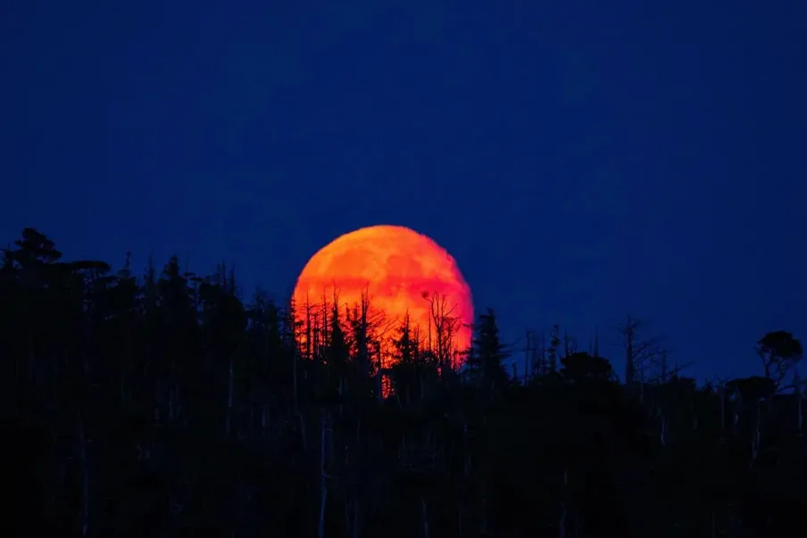 El poderoso ritual qué debes hacer para atraer el amor durante el eclipse de la “Luna de sangre”