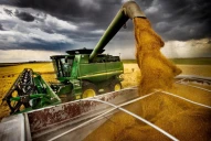 “Esta baja de retenciones confirma el rumbo que necesita el campo”, dijo el presidente de la Sociedad Rural de Tucumán