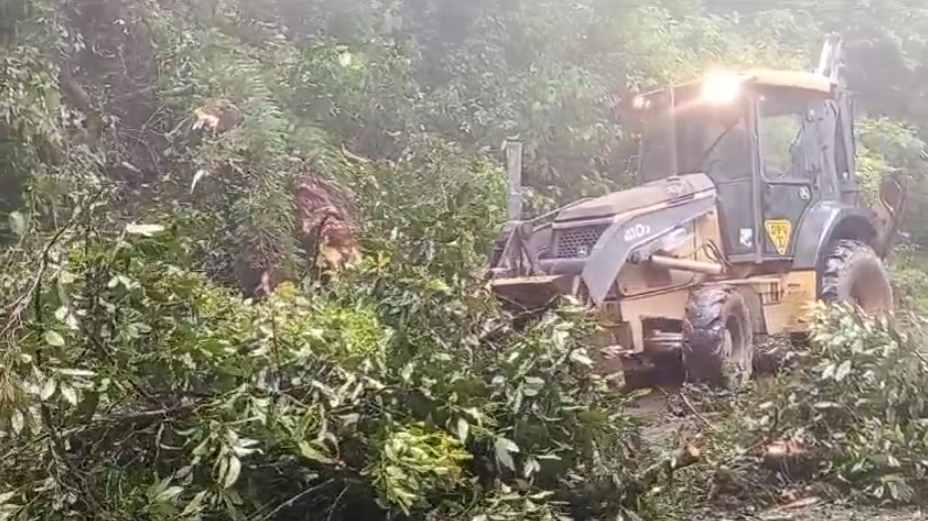 ÁRBOL CAÍDO. Bloqueo del paso en el kilómetro 7 de la ruta 338.