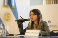 Incidentes en el Congreso: piden la destitución de la jueza Andrade por haber liberado a los detenidos