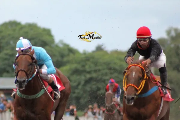 En el turf local, hubo un ganador en la pista y otro en el comisariato