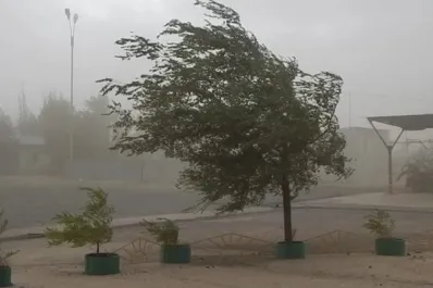 Alerta naranja y amarilla por fuertes vientos: ¿cuáles son las tres provincias afectadas?