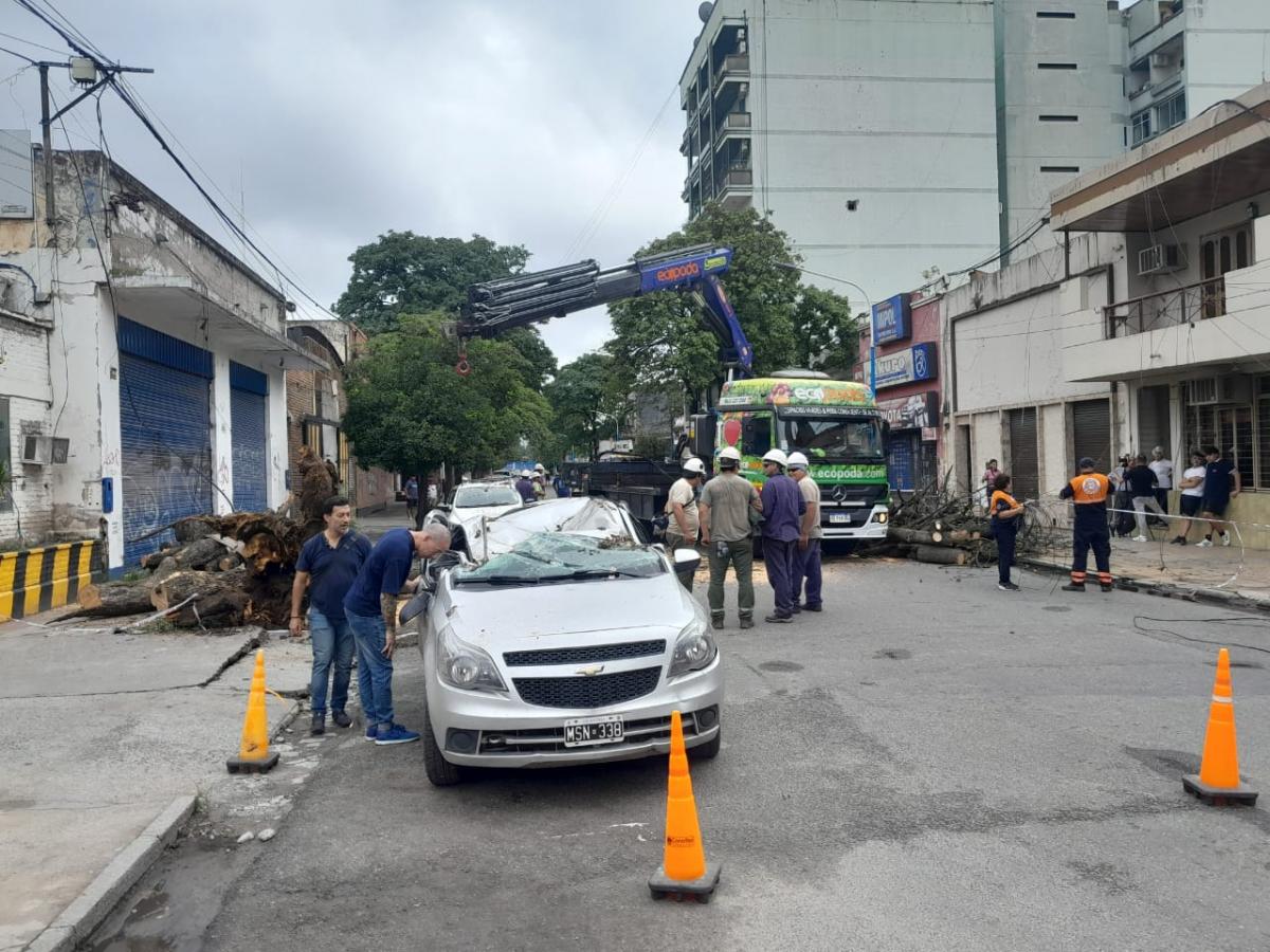 Equipos trabajan en el lugar. 