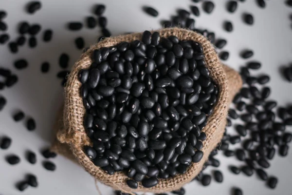 Poroto: Brasil se encamina a ser uno de los más importantes exportadores del mundo