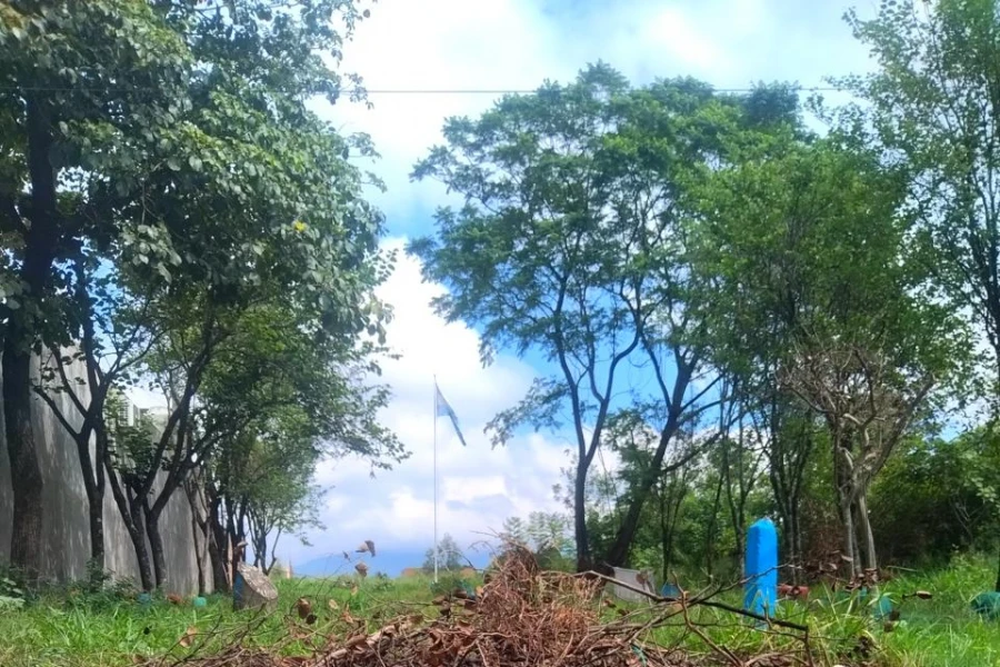 Cartas de lectores IV: Tafí Viejo