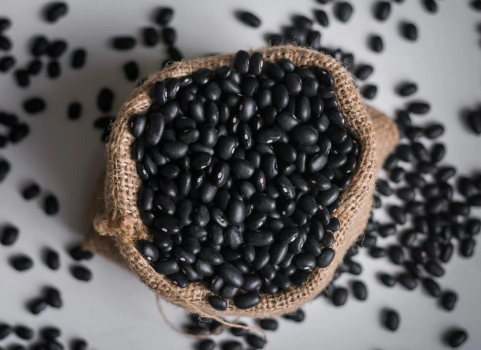 GRAN COMPRADOR. Del total de las 160.000 toneladas de poroto negro que produce la Argentina, Brasil se lleva entre 80.000 y 100.000 toneladas.