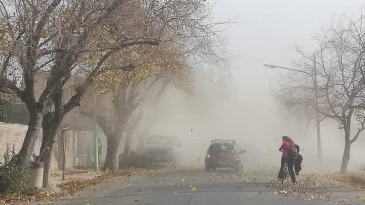 Alerta amarilla por fuertes vientos según el SMN.