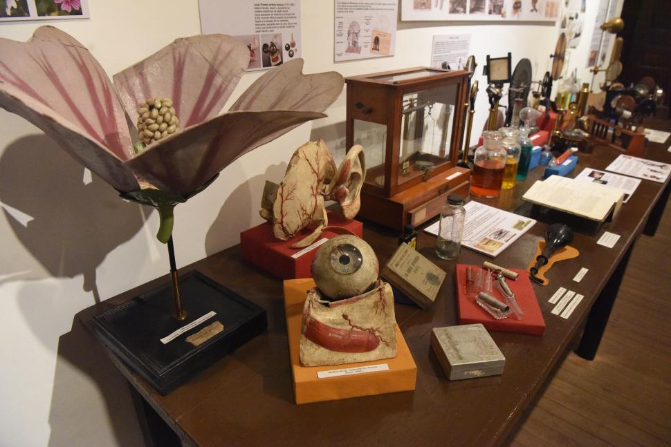 MATERIALES DIDÁCTICOS. Dispuestos en un mesón están alineados elementos que integraban gabinetes de anatomía, física y química.