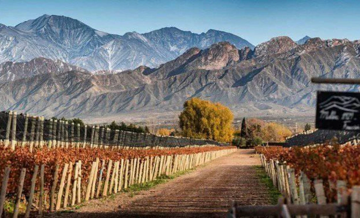 Chacras de Coria en Mendoza, uno de los destinos destacados en este rankin.