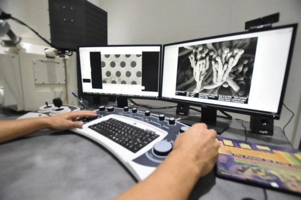 Terminemos de una vez con la ciencia y, sobre todo, con los científicos