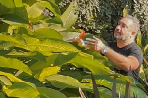 Homenaje a Rafael Kreibohm, artista fallecido en Tucumán