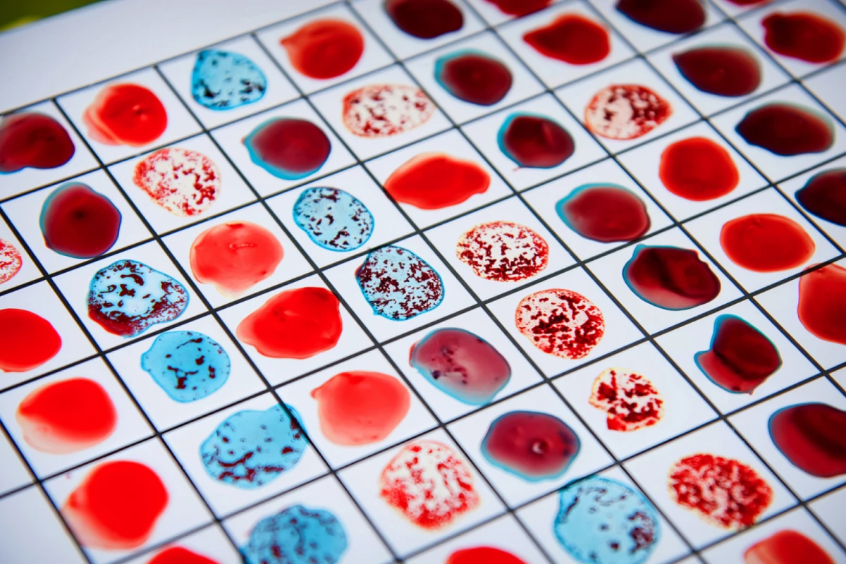 Hallaron un nuevo grupo sanguíneo.