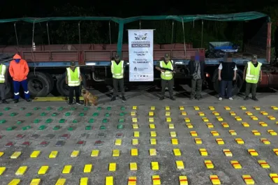 Decomisan más de 300 kilos de cocaína en rutas del NOA