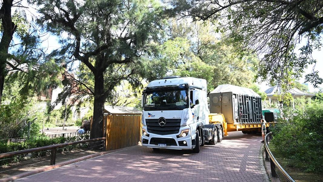 Así fue el emotivo traslado de “Pupy”, la última elefante de Ecoparque, a un santuario