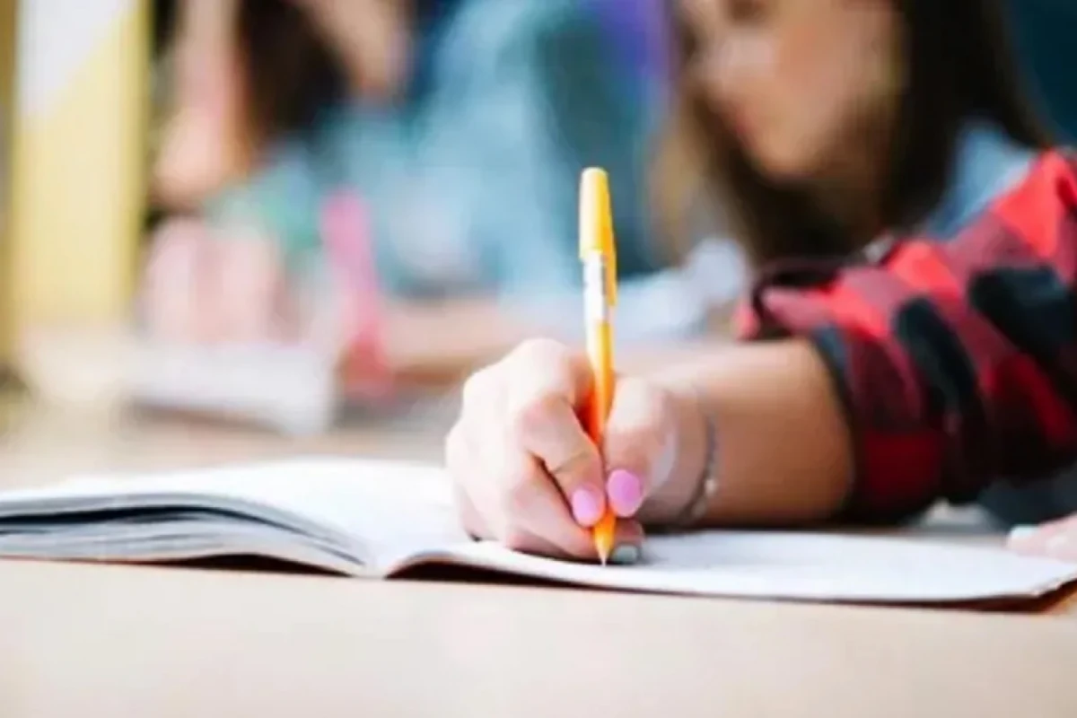 Vouchers educativos, un beneficio necesario. 