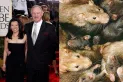 Aislamiento y un virus bajo sospecha: la extraña muerte de Gene Hackman y su esposa