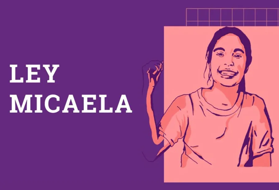 CURSO DE GÉNERO. La Ley Micaela o ''Ley Micaela de Capacitación Obligatoria en Género para todas las personas que integran los tres poderes del Estado'' (Ley N° 27.499/2018) es una ley nacional sancionada en Argentina en 2018 y promulgada en 2019. / LEY MICAELA