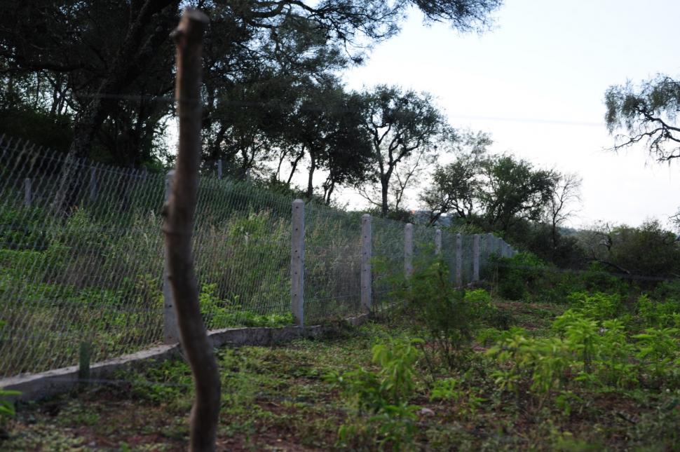 MÁS PRUEBAS. Los lotes alambrados ya forman parte de Ticucho.