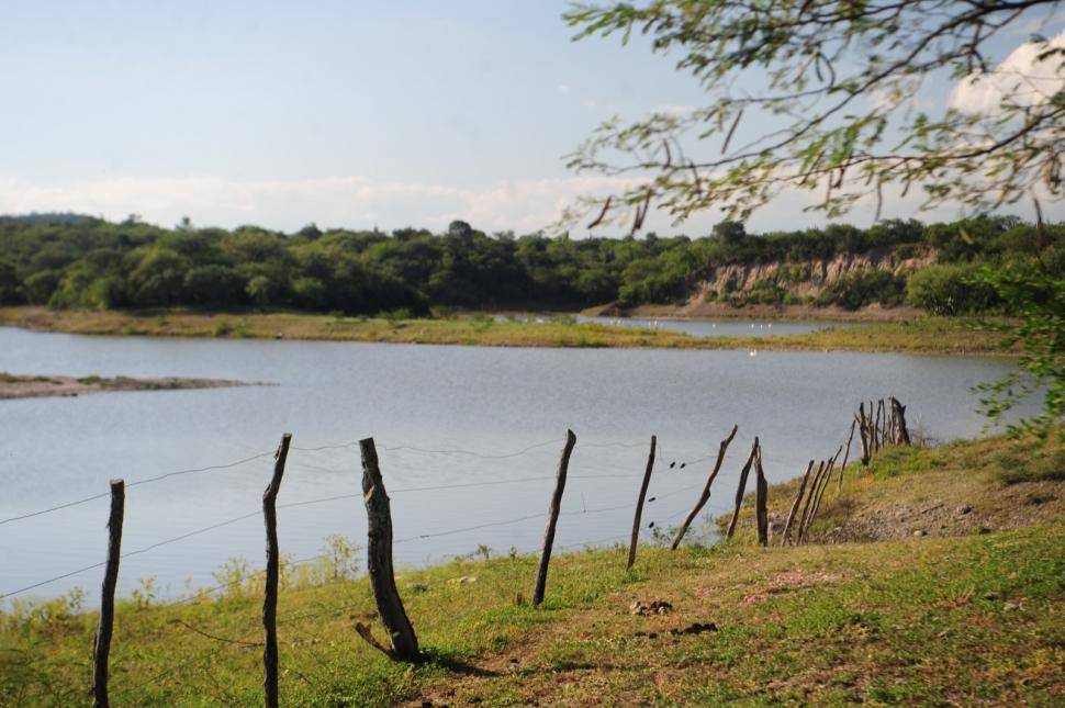 PEGADITO A LA ORILLA. Los alambrados que fueron colocados en la ribera del lago, en India Muerta.