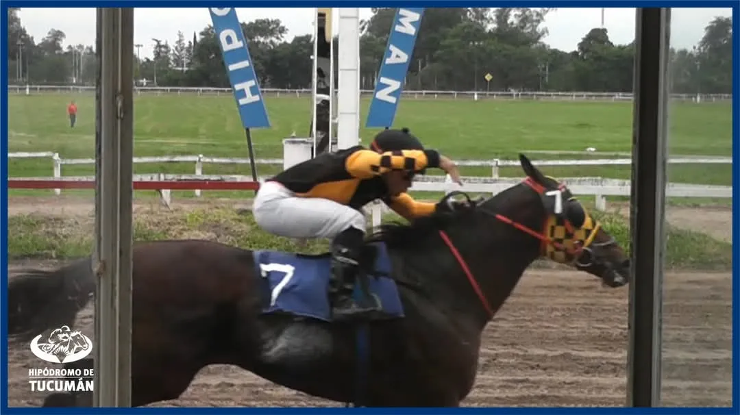 FAVORITO. Redivertido quiere lucirse en Santiago del Estero.