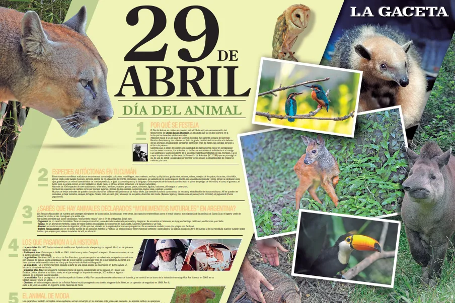 Este sábado, una herramienta educativa imperdible llega con LA GACETA