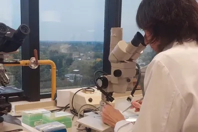 Científicas argentinas logran prevenir el dolor de la quimioterapia con una fórmula con cannabis