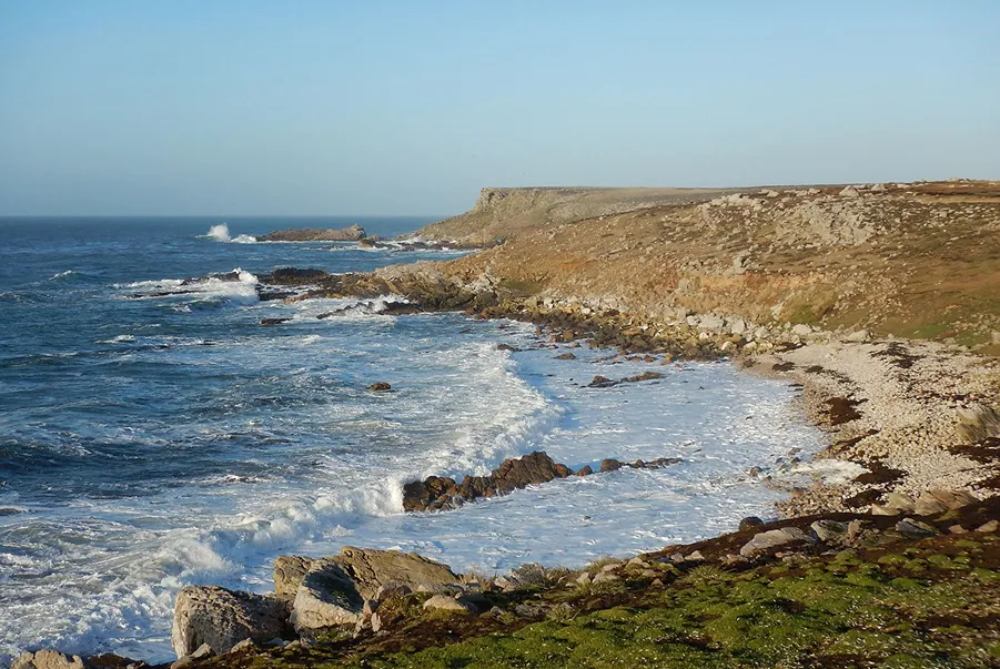 Un gran hallazgo en Isla Malvinas puede cambiar la historia por completo