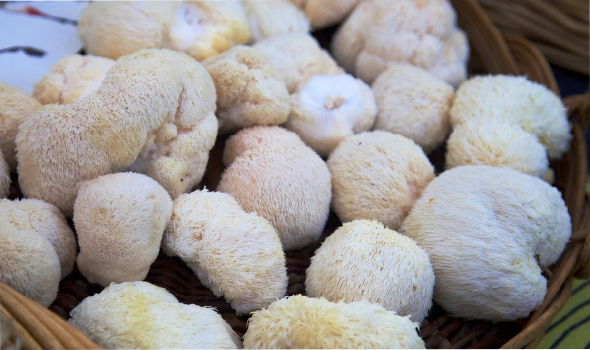 El alimento que podría estimular la regeneración neuronal.