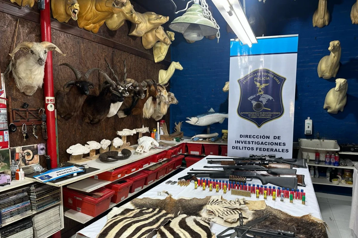 Procedimiento en Buenos Aires. PRENSA AMBIENTE