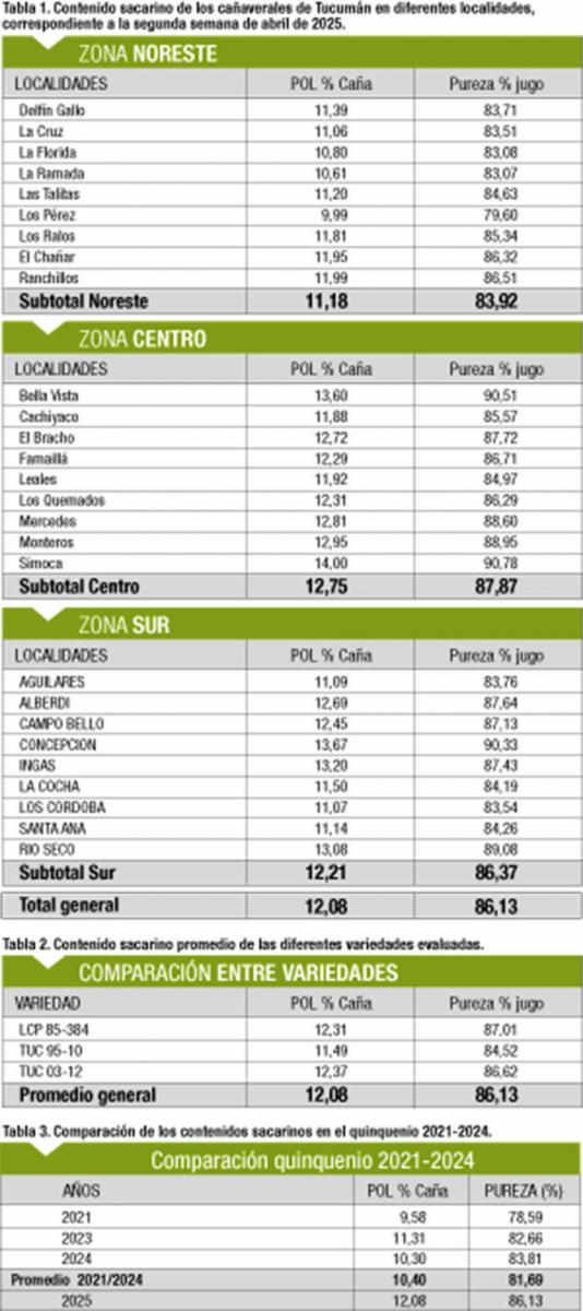 Tucumán: cañaverales presentan un estado madurativo superior al de igual época de 2024