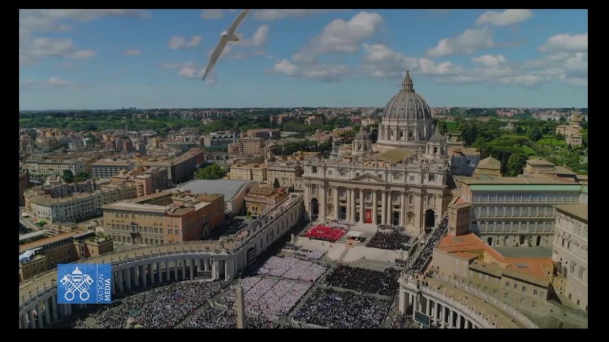 Despedida del papa Francisco: Un ave blanca se cruzó frente a las cámaras de la transmisión oficial