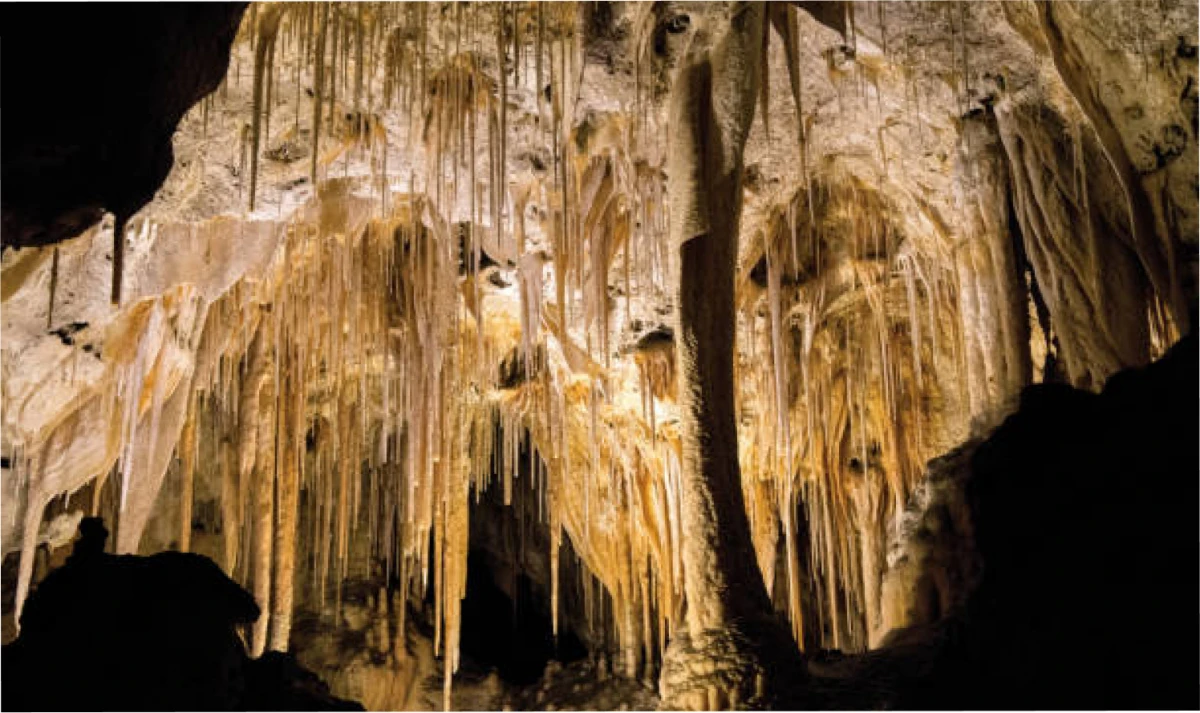 Cuevas de Carlsbad en Nuevo México.