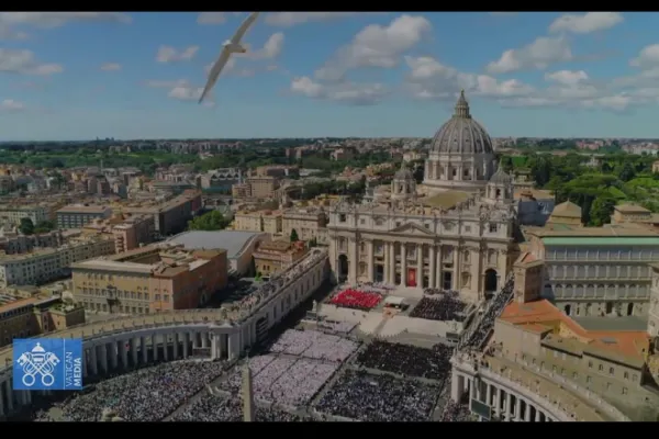 ¿Un mensaje del cielo?: un ave blanca se cruzó frente las cámaras durante la despedida del papa Francisco
