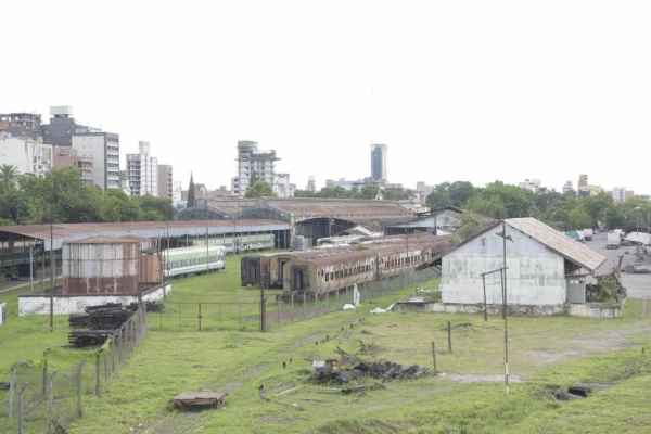 El tren: la vergüenza de haber sido y el dolor de ya no ser