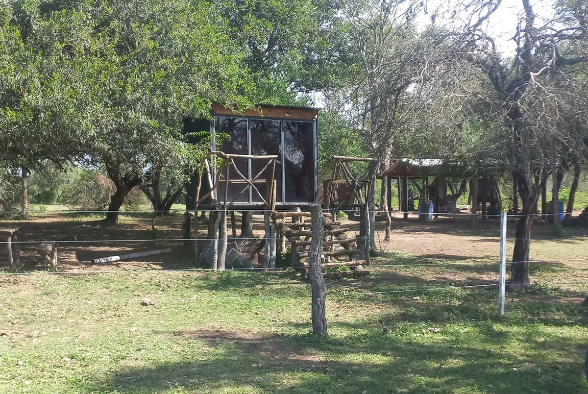 OTRA PRUEBA. En el “glamping” había varias cabañas para alquilar.