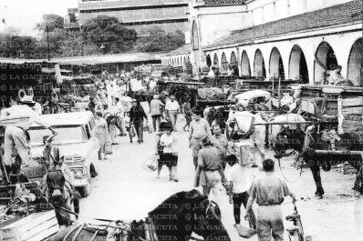 Recuerdos fotográficos: un desorden encantador