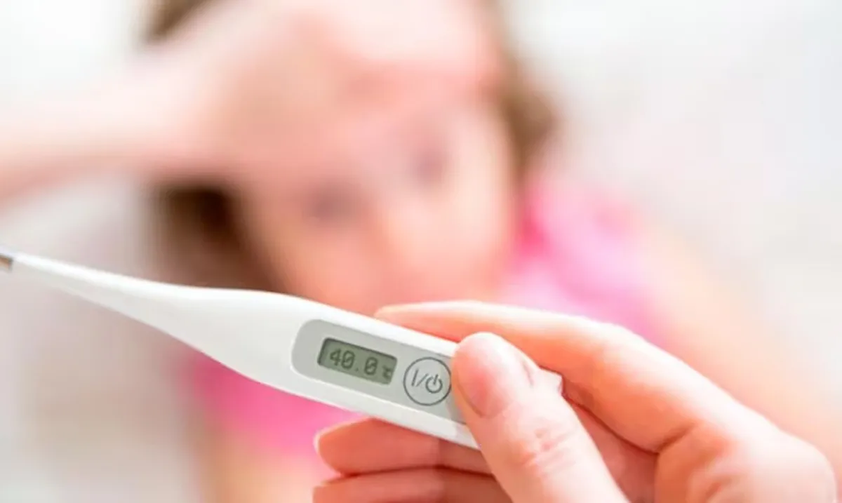 Brote de fiebre tifoidea: cómo prevenirla y cuáles son sus síntomas