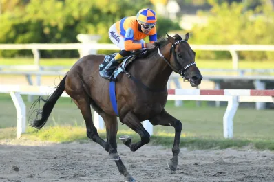 Endor Rye mostró un gran nivel en el Gran Premio “República Argentina” del turf