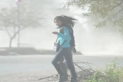 Alerta meteorológica: el sur del país enfrentará fuertes ráfagas de viento y lluvias