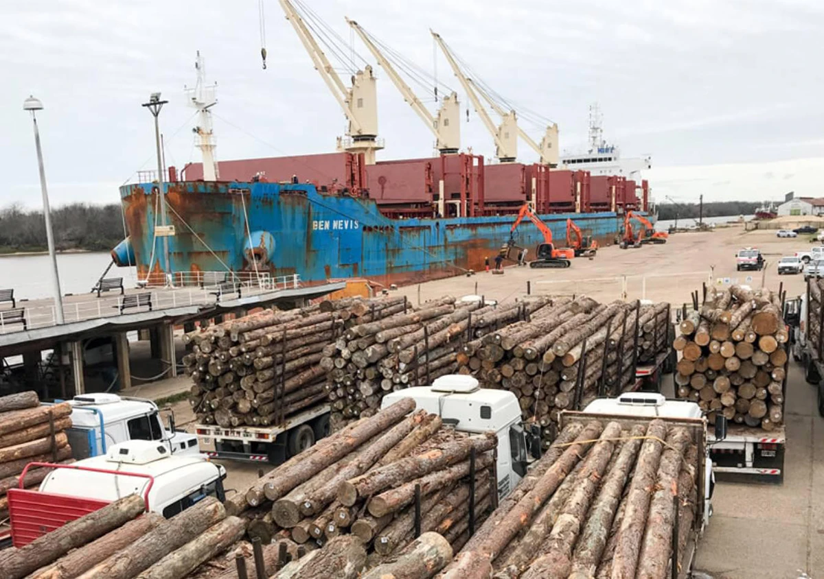 EJEMPLO. La exportación de madera aserrada aumentó el 53,4%.