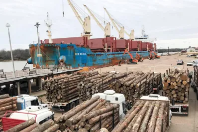 En enero y febrero, la venta de madera al exterior creció un 41%