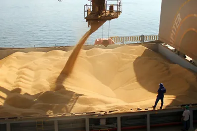 La Nación fijó una forma para el cálculo de los precios FOB