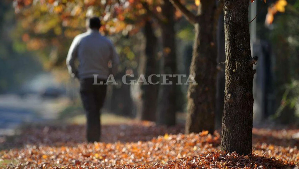 El otoño se hace sentir en Tucumán: neblina por la mañana y una tarde templada para este 3 de mayo