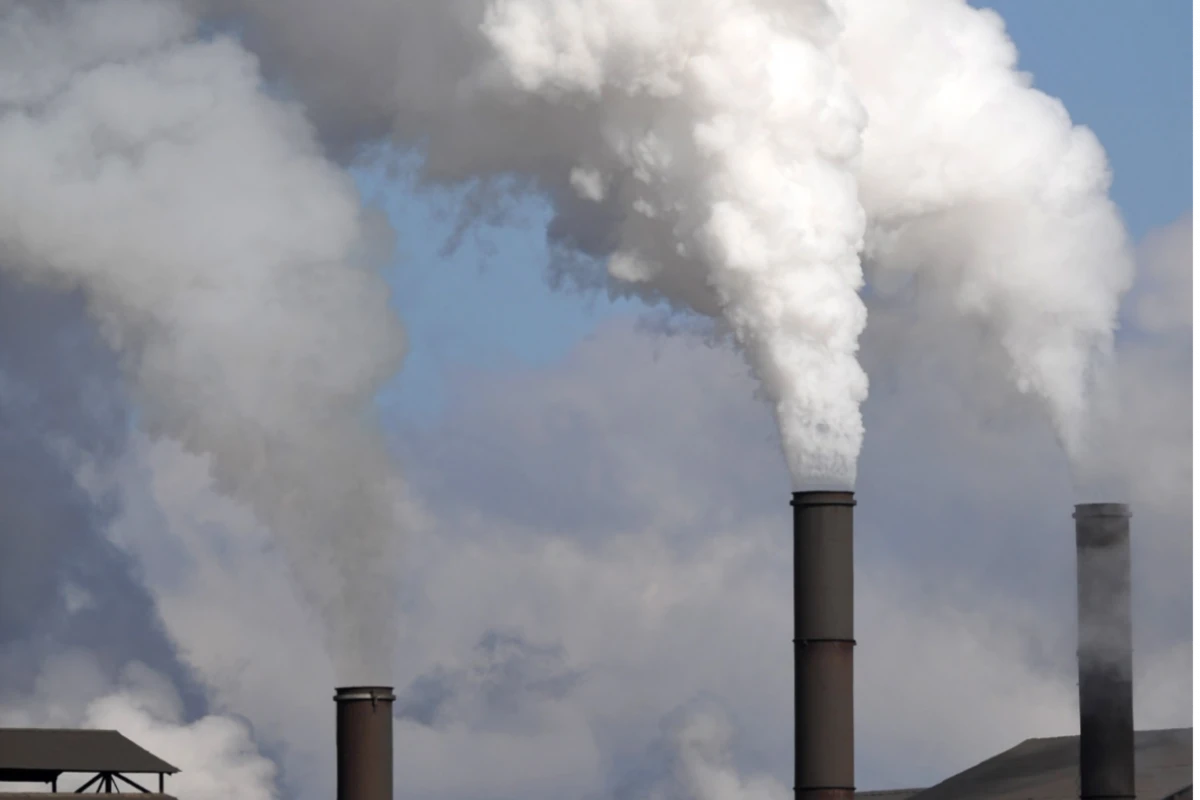 Cartas de Lectores I: zafra 2025