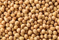 Soja: el rinde está muy por encima de lo esperado