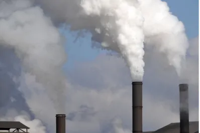 Cartas de Lectores I: zafra 2025