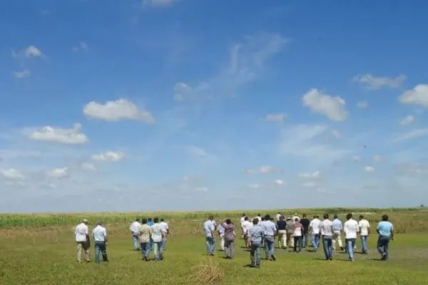 El impacto del nuevo esquema cambiario en el agro