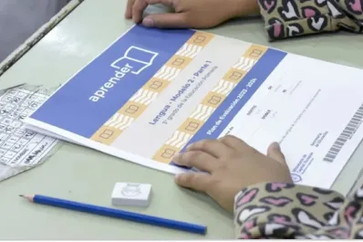 Aprender Alfabetización: sólo el 45% de niños de primaria alcanzan el nivel esperable de lectura