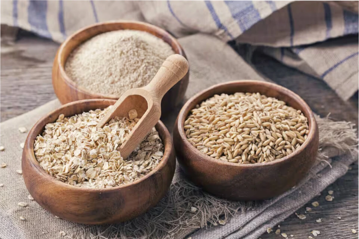 Distintas variedades de avena.